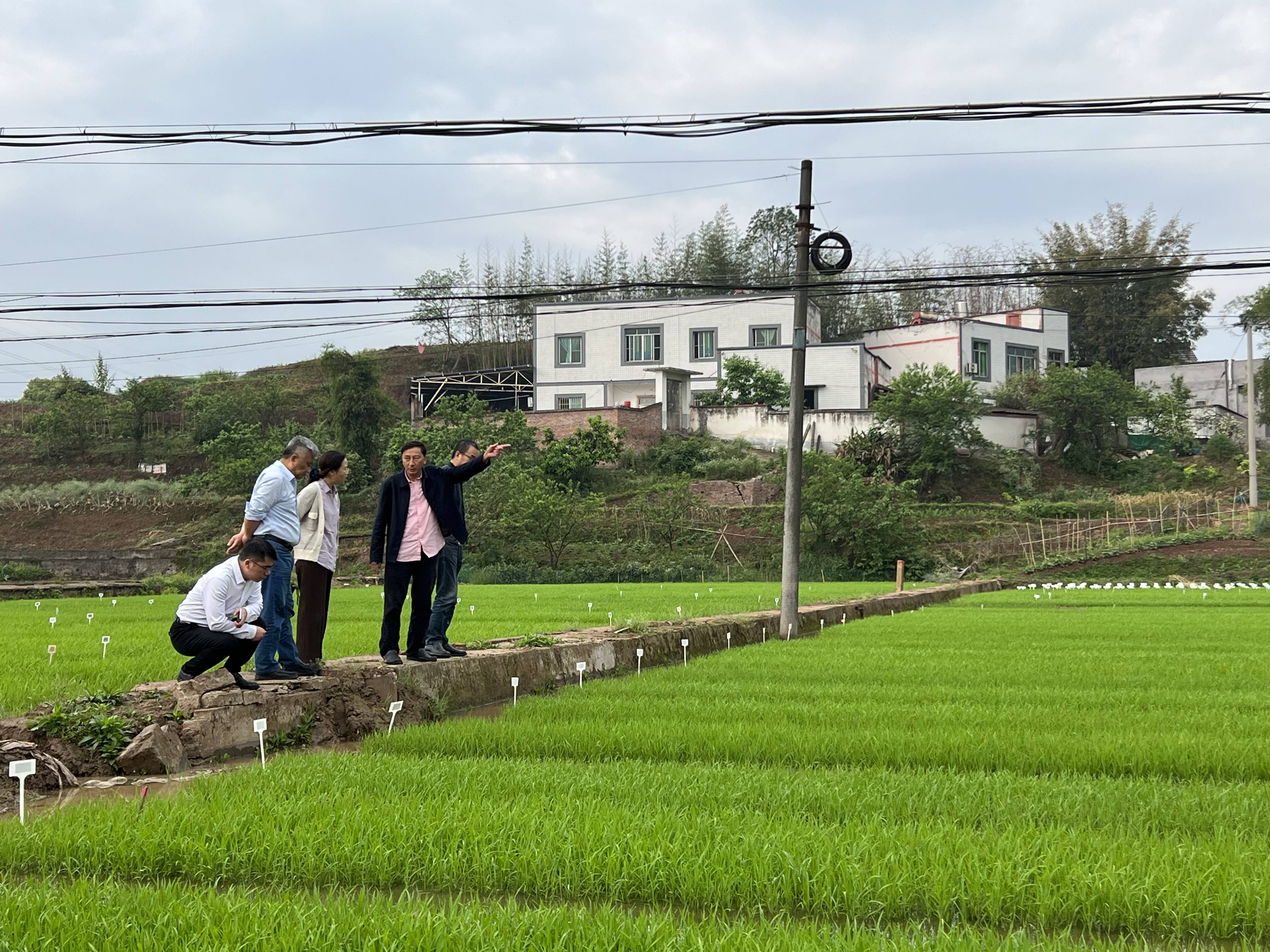 643768fbf2209.jpg 四川种业集团赴泸州调研种业企业发展情况(1).jpg