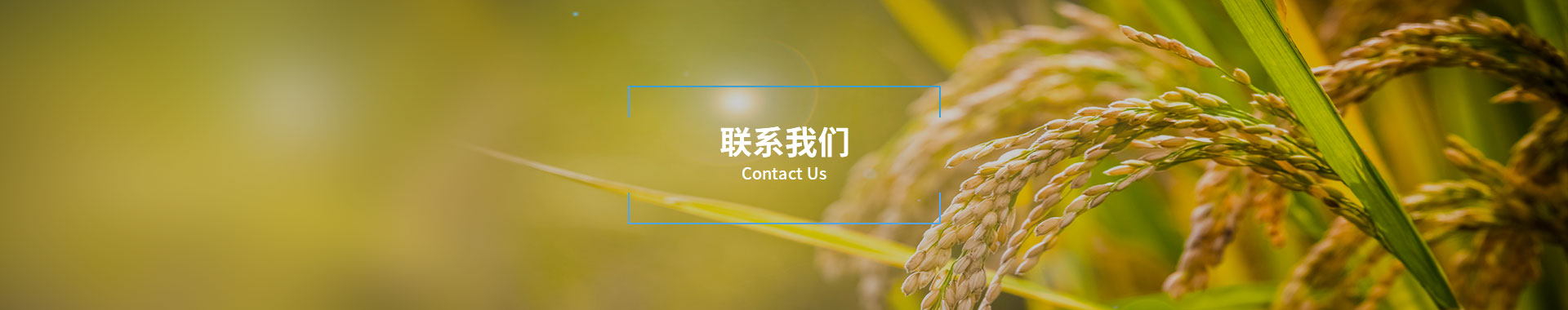 联系我们