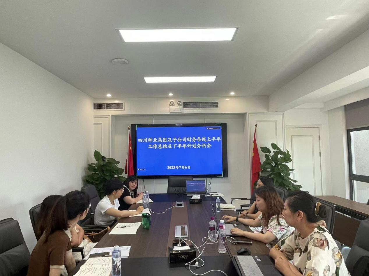 四川种业集团财务 上半年工作总结及下半年工作计划分析会