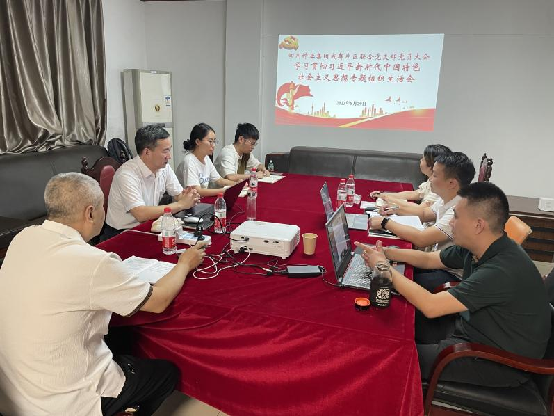 64efea191fbfd.png 成都片区联合党支部组织召开主题教育专题组织生活会.png