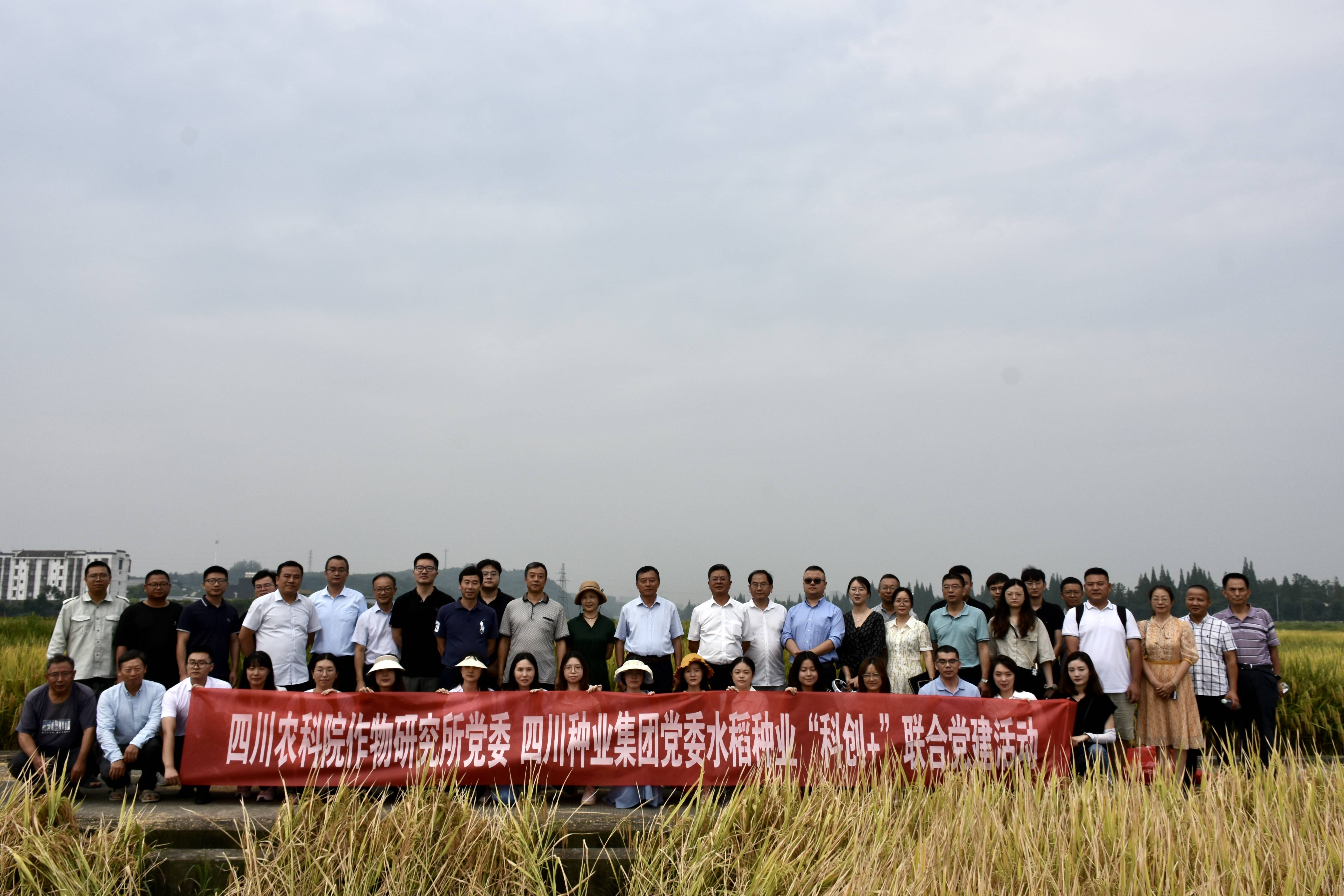 2023年9月6日太阳集团tyc539赴四川省农科院作物研究所开展科企交流会2（邓皓然拍摄）(1).jpg