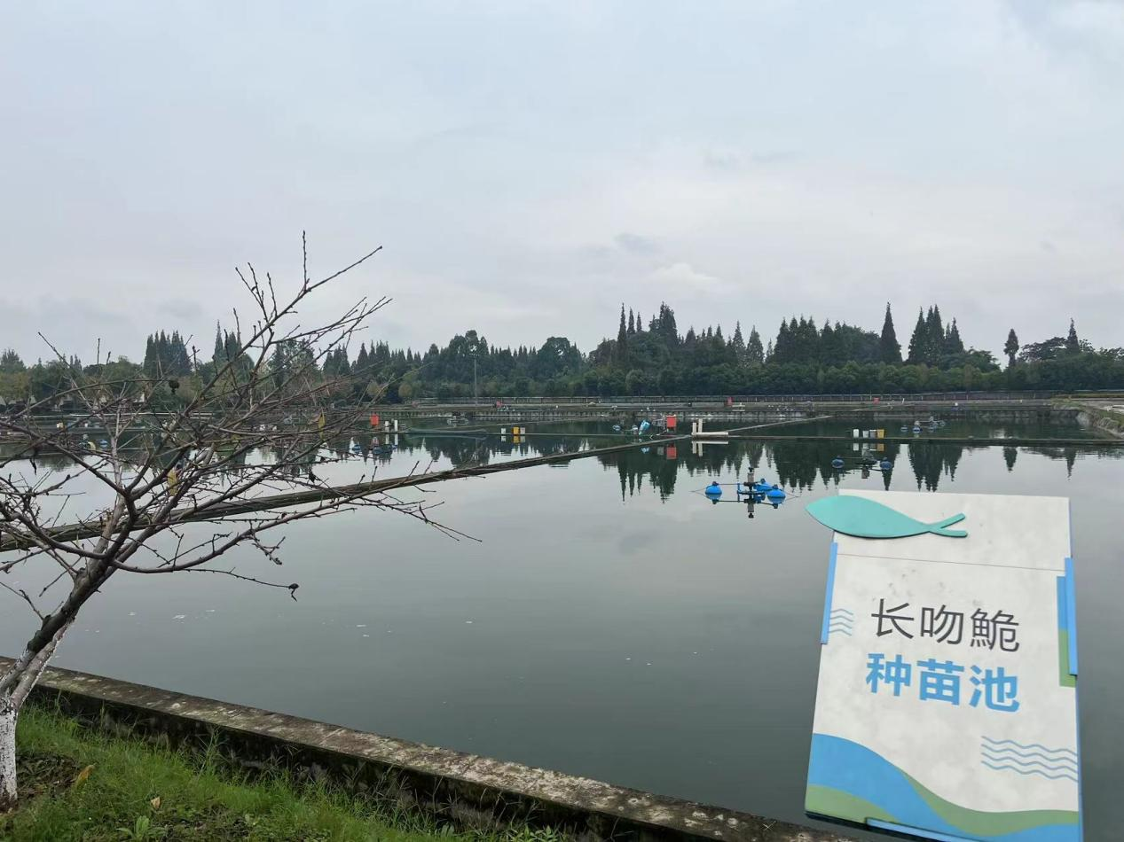 太阳集团tyc539加速推进水产种业公司组建2.png