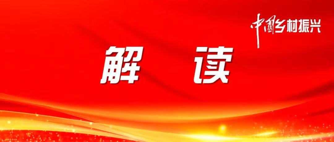 推进乡村全面振兴不断取得新成效——中央农办负责人解读2024年中央一号文件