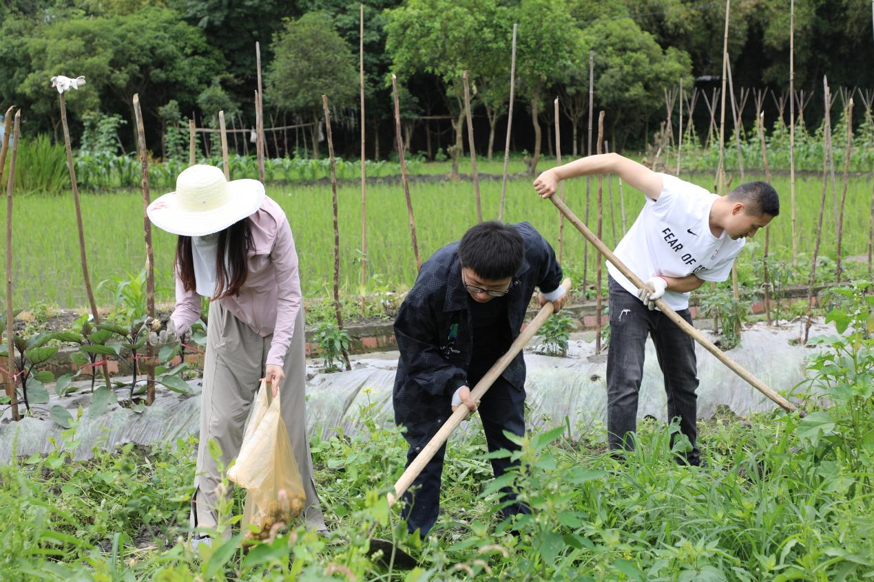 太阳集团tyc539第二党支部举办“党建引领促春耕，不负农时迎丰收”主题党日活动2.png