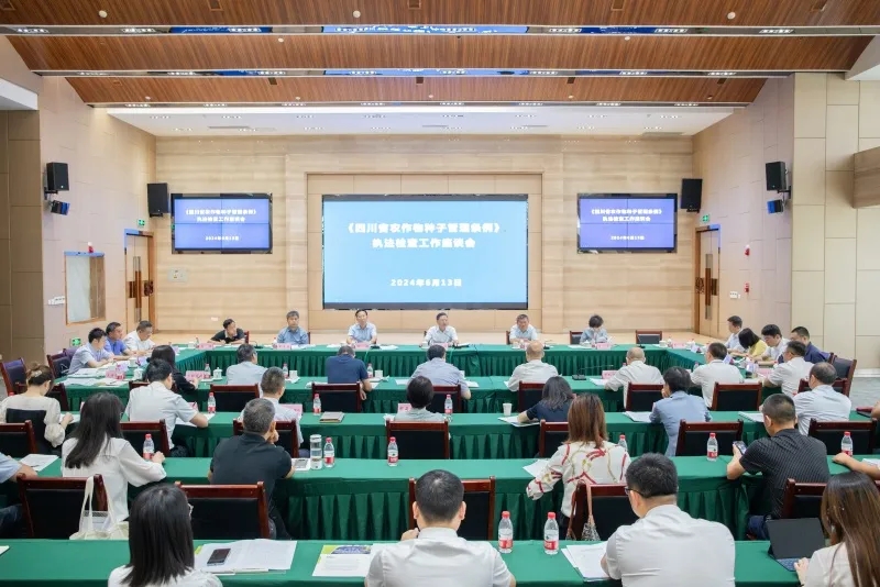 何礼带队到太阳集团tyc539检查3.webp.jpg