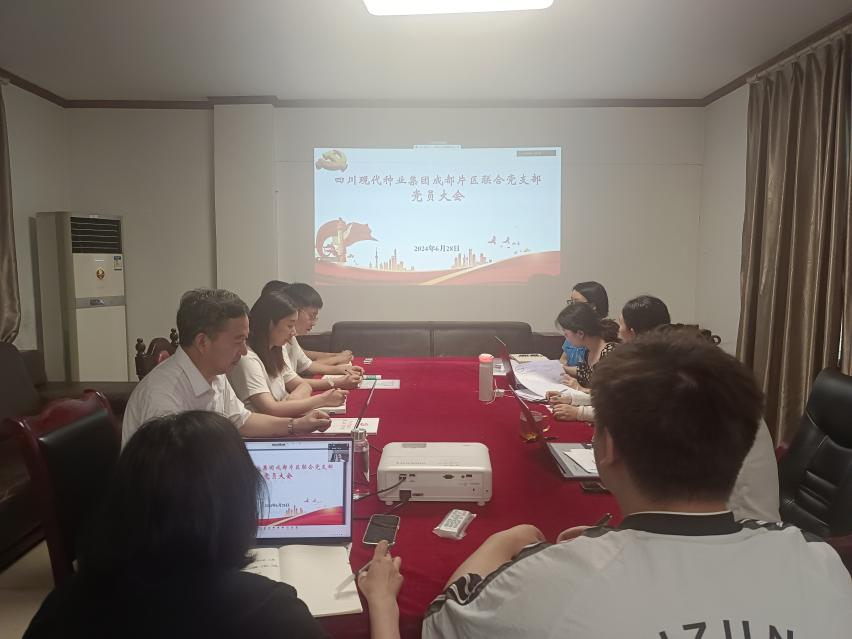 6682491c3fe91.png 2024年6月28日太阳集团tyc539成都片区联合党支部召开党员大会专题学习贯彻省委十二届五次全会精神.png
