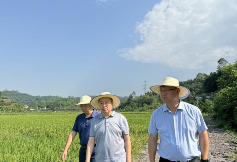 66bdc3973374f.png 黄小文到广安市调研农事服务工作.png
