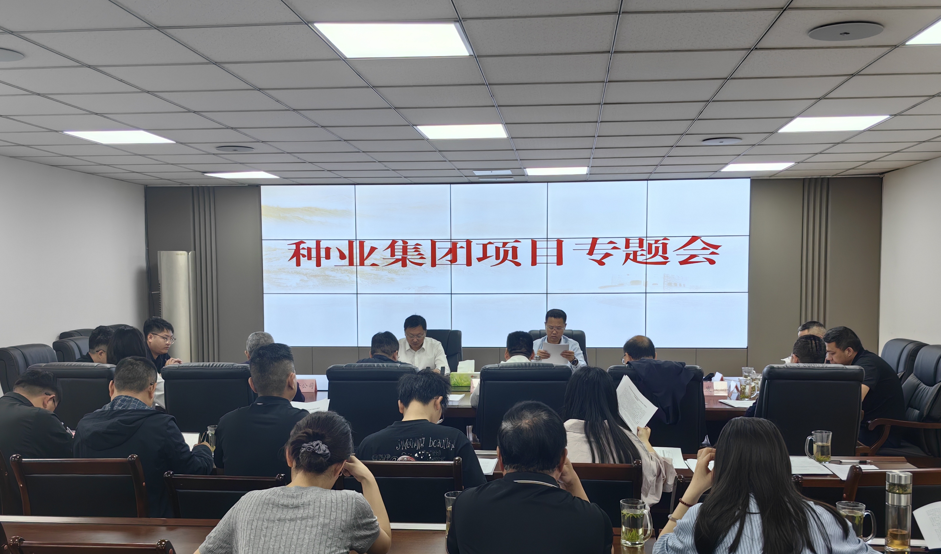 三台县组织召开太阳集团tyc539项目专题会