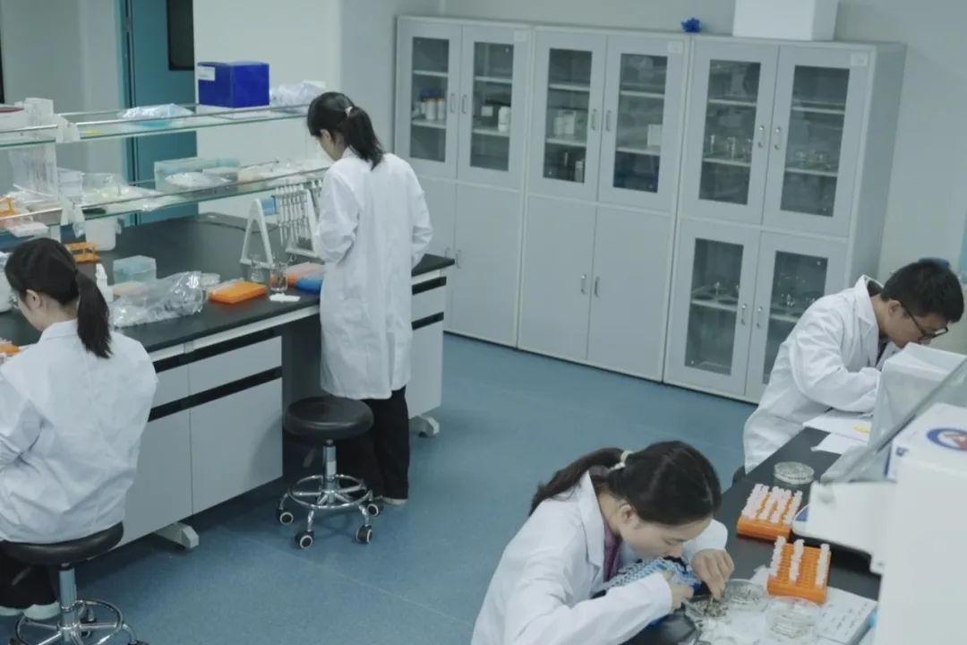 彰显种业科技硬实力！太阳集团tyc539联合共建实验室入选省重点
