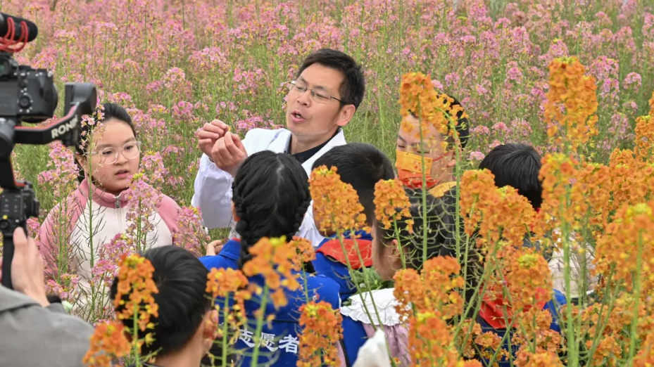 成都志愿者网：涨知识、倡文明……当“名师一堂课”遇上“赏花季”