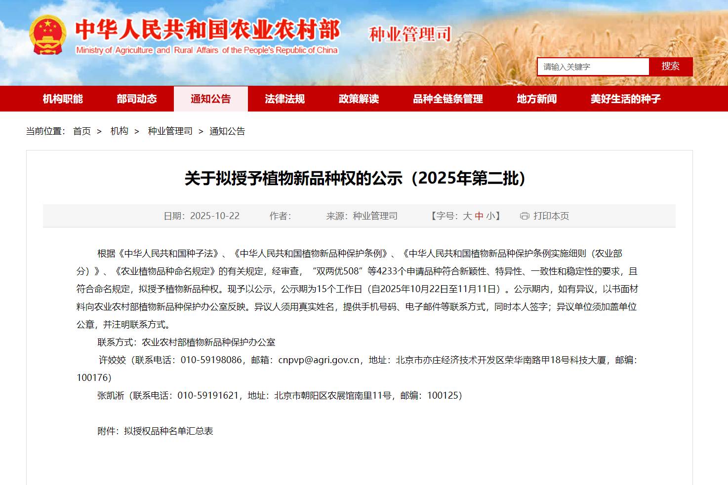 太阳集团tyc539科威洋葱公司“科威白610”拟获植物新品种权