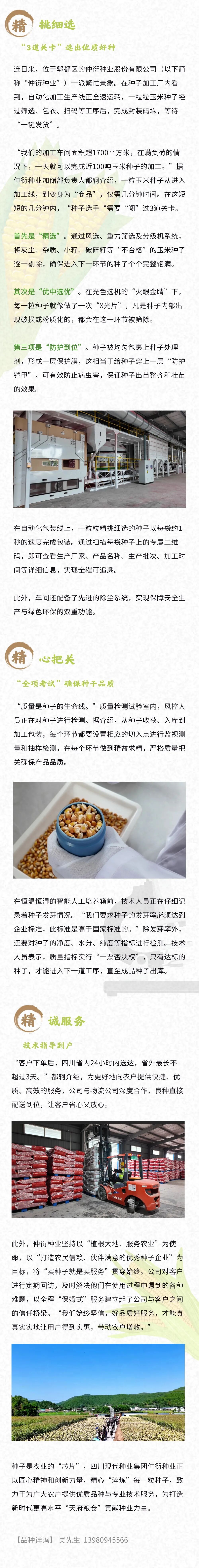 仲衍种子加工线挂网pic2.jpg
