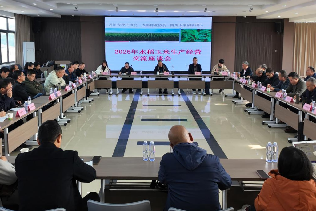 2025年水稻玉米生产经营情况交流座谈会在仲衍种业举行