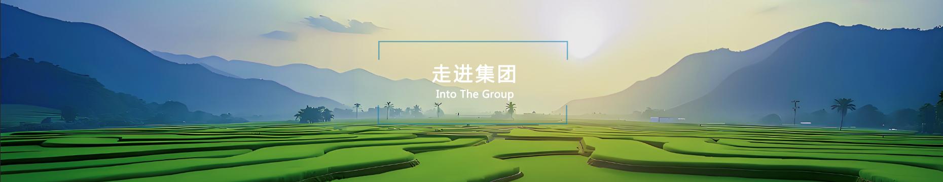 走进集团