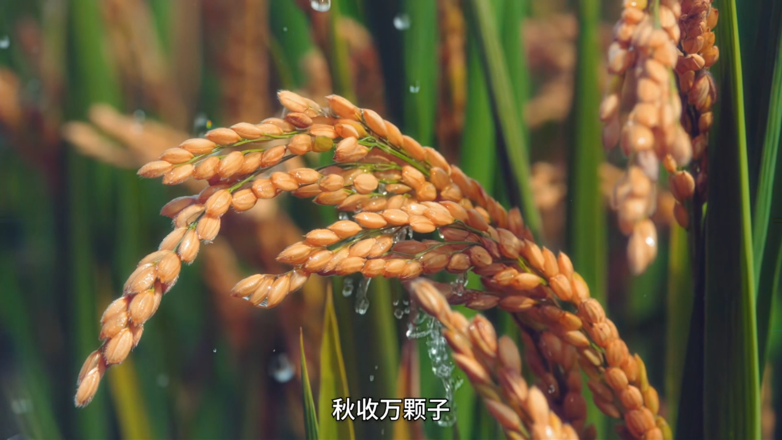 集团宣传片