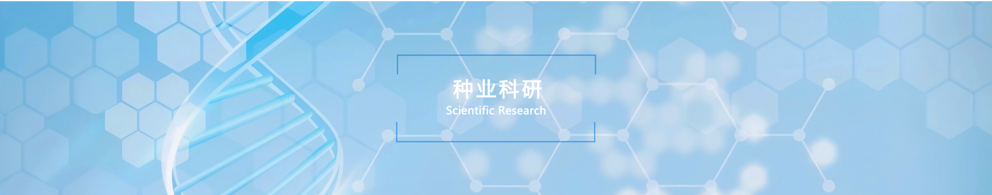 种业科研