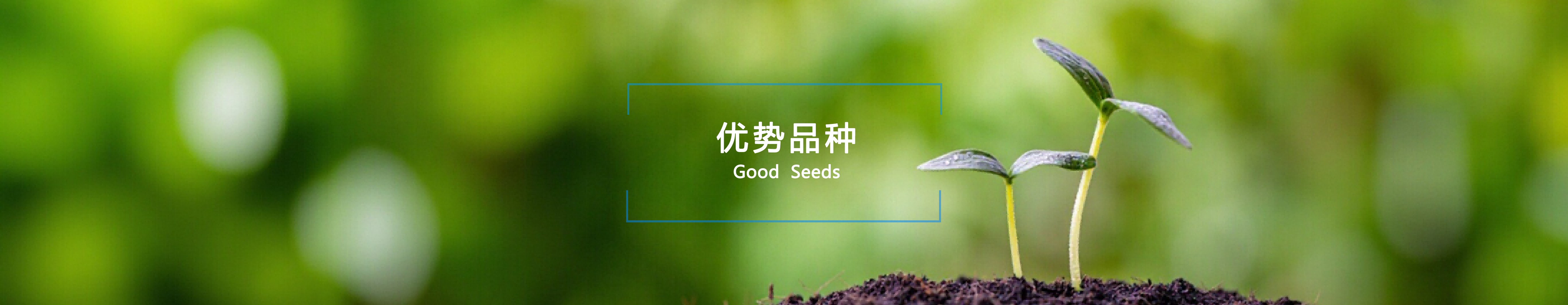 优势品种